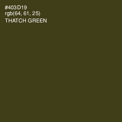 #403D19 - Thatch Green Color Image
